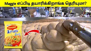 Factory-யில் Maggie இப்படி தான் தயாரிக்கப் படுகிறது | This is How  Made in Factory | Tamil Wonders