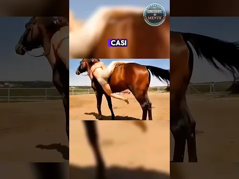 🫨Este CABALLO tiene una inteligencia (IQ) de 250. #curioso #inteligente #viral #animal #shorts