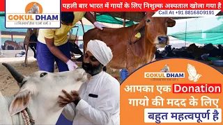 पहली बार भारत में गायों के लिए निशुल्क अस्पताल खोला गया है। || Gokul Dham Gau Sewa Mahatirth ||
