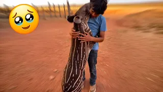 The Way Animals React to Love… It’s Impossible to Ignore
