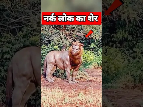 नर्क लोक का शेर 🤚 | #shorts