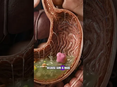 What Happens Inside Your Body If You Swallow Gum? #humanbody #shorts #animation