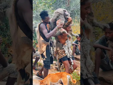 Never Seen Before How hadzabe Carry Baboons And Monkey After Hunting #africa #primitive #wildlife