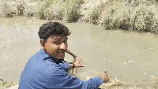 Eid k Din Kya Machli ka Shekar 🐬🐠 انوکھی مچھلی پھنس گی#farming #hunting