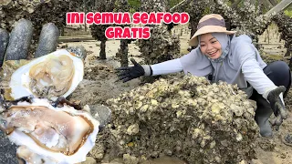 AMBIL SECUKUPNYA‼️Tiram(OYSTER) dan Teritip Gratis