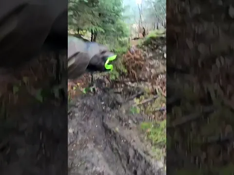 Рвал БОЛОТО и слил с него всю воду, что бы вытащить эту находку!