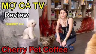 Cà Phê Thú Cưng Tp HCM - Cherry Pet Coffee ll Mợ Cả TV (p2)
