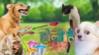 Holi Ke Din | Happy Holi 🤣🤪 #FUNBong