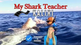 SPICY SHARK🌶️ 🦈‼️My Shark Teacher KALIHI ❤️ #OceanRamsey #OneOceanSharks #SharkDiving #SharkDiver