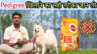 Dog ko pedigree kaise khilana cahyea?