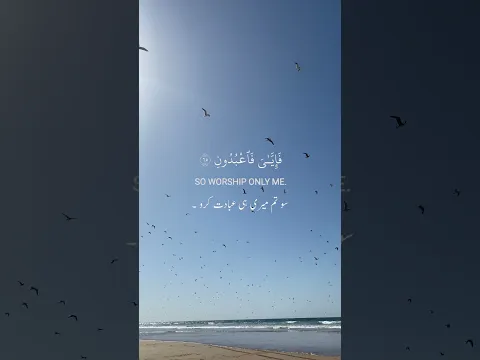 Every soul will taste death #islam #quran