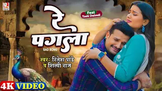 #Video - रे पगला - #Ritesh Pandey और #Shilpi_Raj का दर्द भरा गीत | Re Pagla | Bhojpuri Sad Song 2025