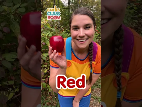 Red Yellow Green Blue! #shorts #caitiesclassroom #colors