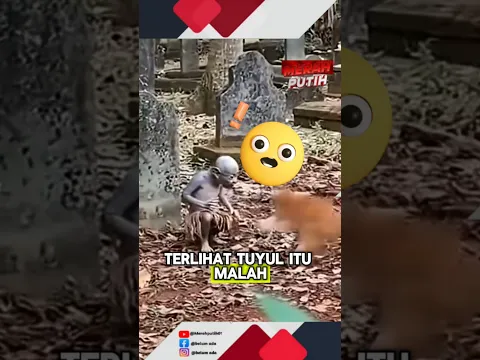 tuyul ini takut melawan kucing oyen😱😭⁉️