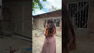 La casita de mis pollos 