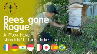 A Flow Hive should NOT look like this.