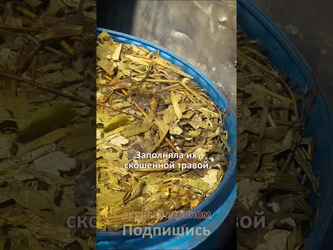 Удобрения НЕ НУЖНЫ если ваша ЗЕМЛЯ КАК ХЛЕБ Дачный агроном