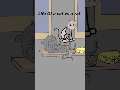 life of a cat vs rat 😀 (4k memes) #shorts