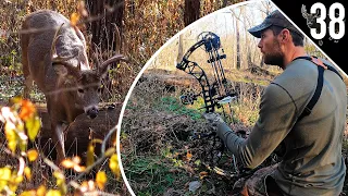 BIG BUCK at 10 yards!!! - (BOW HUNTING the RUT!)