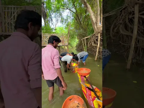 मगरमच्छ 🐊 💀😨जिस नदी में हम ‘स्वर्ग’ बना रहे थे,उसी नदी में आज मगरमच्छ आ गई 🐊💀