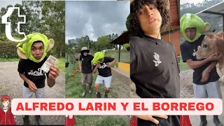 ALFREDO LARIN CONOCE LA GRANJA NO TE PIERDAS LA COLABORACION CON EL BORREGO
