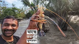 মাছ মাছ হয়ে আছে সুন্দরবন | লবণ জলে জীবন জ্বলে | সিজন ১২ | পর্ব ০৫ | Mohsin ul Hakim