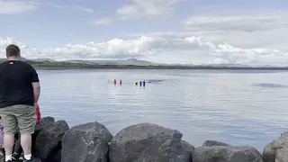Rescuing a stranded whale in Iceland.