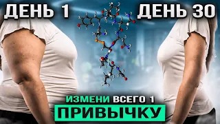 Если постоянно ХОЧЕТСЯ ЕСТЬ, попробуй ЭТОТ лайфхак | Через 30 ДНЕЙ, ты не узнаешь себя в зеркале