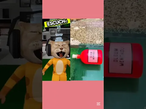 19 de marzo de 2025