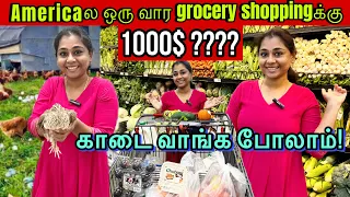 💥Americaல காடை வாங்க போலாம்|Grocery shoppingக்கு இவ்வளவு செலவா⁉️💢Tamil Vlog USA #tamil
