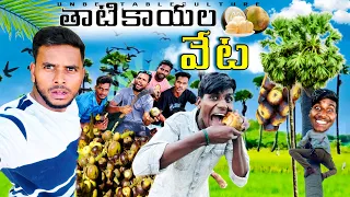 తాటికాయల వేట 😂❤️ ||UNBEATABLE CULTURE VLOG |VILLAGE COMEDY |THATIKAAYALU|UNBEATABLECULTURECOMEDY||
