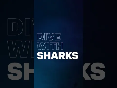 Voted best shark dive in the world! Come visit Fiji! Dive the famous Colosseum #sharkdiving