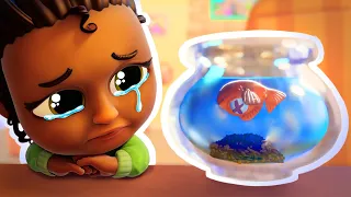 I Lost my Pet | Nookaboos Kids Songs