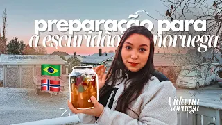 PREPARATIVOS PARA ESCURIDÃO E INVERNO DA NORUEGA \\ Vida na Noruega 🇧🇷🇳🇴