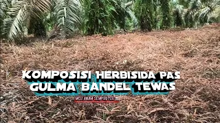CARA MENGENDALIKAN GULMA BANDEL
