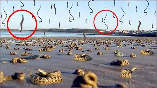 உலகை பிரமிக்க வைக்கும் இயற்கை நிகழ்வுகள் | Natural Phenomenon | Thatz It Channel