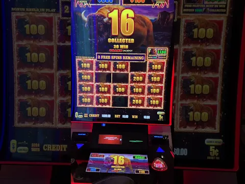 Can We Win $100k On Buffalo Link Bonus?  #hardrockcasino #slot #buffalo
