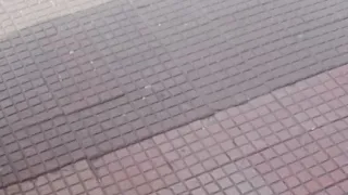 LIBERDADE  - São Paulo - Funny Pet World