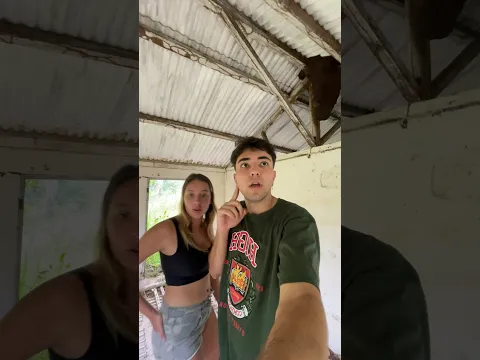 O ESPÍRITO DO NOIVO APARECEU
