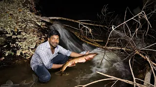 SECRET Place Full of MONSTER Fishes 😳 Found at Midnight 12AM! /JENISH KJ