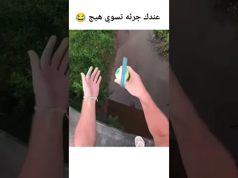 اخذ كلبي بل قران 😂💔🙌🏽🙌🏽🙌🏽
