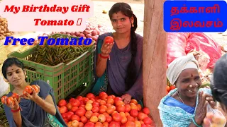 Free Tomato 🍅 My  Birthday Gift 🎁/  தக்காளி இலவசம் | Boy's girl's Treat