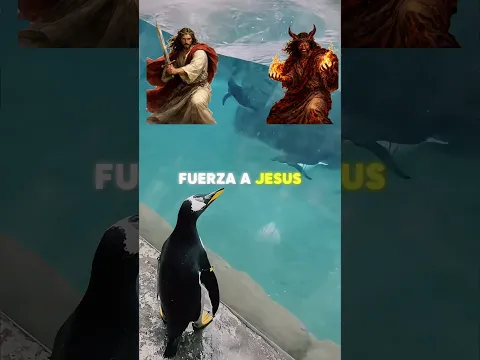 ¡Pingüino perdido intenta regresar con su familia! 😢🐧