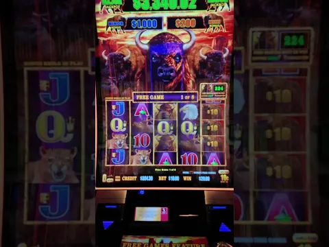 MASSIVE BONUS ON FIRST SPIN BUFFALO LINK SHORTS