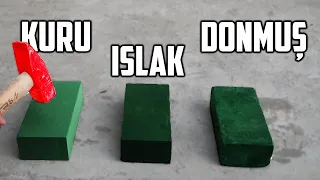ÇİÇEK SÜNGERİ İLE 6 DENEY ! (Hammer VS Floral Foam)