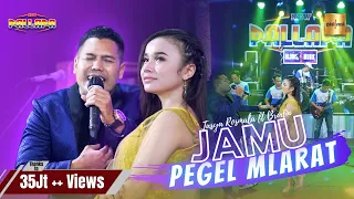 Tasya Rosmala ft Brodin New Pallapa - Jamu Pegel Mlarat (Official Live Music)