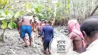 বাঘে নিয়েই গেলো কাওছারকে | সুন্দরবনের বাঘ | Tiger Attack | Sundarbans | Mohsin ul Hakim