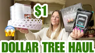 DOLLAR TREE HAUL| NEW| BRAND NAME ITEMS| AMAZING FINDS