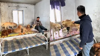The homeless man and the stray dog ​​returned to their hometown and lived ordinary lives🤠