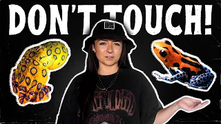 Zoologist Answers: WTF is THAT?? (& Don't Touch Them!) | Lindsay Nikole